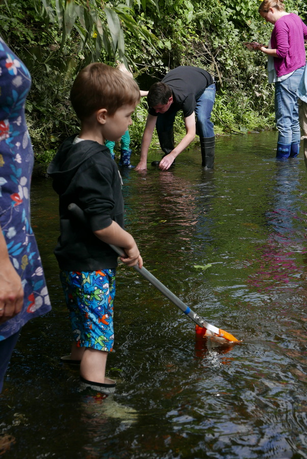 Watching and waiting